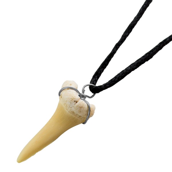 Schwarzes Halsband Natur Haifisch Zahn