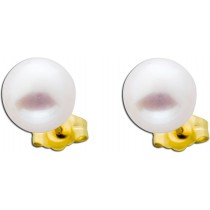 Perenohrstecker weiss Perlenohrringe Gold Gelb 585 Süsswasserperle3