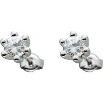 Ohrringe - Ohrstecker Platin 950 Brillanten 1,00ct W/SI