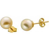 Perlenohrstecker Gelbgold 585 14K goldene Südseeperlen 10mm