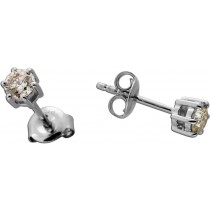 Brillant Ohrstecker Platin 950 Champagner Natur Diamanten 0.50ct