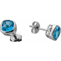 Blautopas Ohrstecker Platin 950 Natur Swiss Blautopase 2.64ct