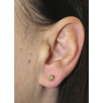 Solitär Ohrstecker Gold 585 14K Champagner Natur Diamanten 0.50ct