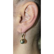 Perlen Ohrhänger Gold 585 14K Tahiti Perlen anthrazit grün