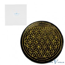 Schungit Untersetzer schwarzer Schungit Edelstein Blume des Lebens Gold