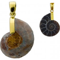 Ammonit Anhänger Gelbgold vergoldet Fossil Edelstein 17ct