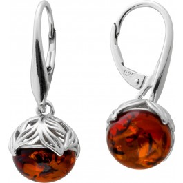 Bernstein Ohrhänger Sterling Silber 925 rhodiniert cognac braun 