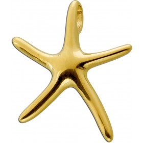 Seestern Anhänger Gelbgold 333 8 Karat 