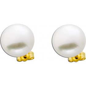 Perlen Ohrringe Gelbgold 585 14 Karat Süßwasserzuchtperlen 12mm 