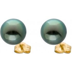 Tahiti Perlen Ohrstecker Gelbgold 585 14k schwarz Tahitizuchtperlen 8-9mm 