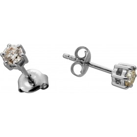 Brillant Ohrstecker Platin 950 Champagner Natur Diamanten 0.50ct