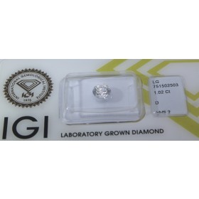 Lab Grown Diamant 1.0ct lose IGI Zertifikat Wertanlage