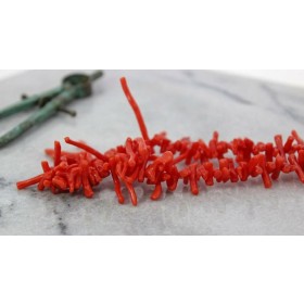 Korallenkette Sardischen Natur Korallen Ochsenblut Antikschmuck 1950