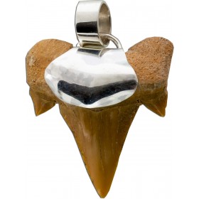 Haifischzahn Anhänger Silber 925 Fossil