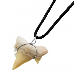 Schwarzes Halsband Natur Haifisch Zahn Anhänger