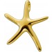 Seestern Anhänger Gelbgold 333 8 Karat 
