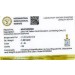 Diamant Anhänger Gold 585 14K Lab Grown Diamant 1.5ct IGI Zertifikat