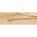 Herz Kette Gold 333 8 Karat Herzanhänger