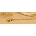 Schutzengel Kette Gold 333 8 Karat 