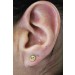 Ohrstecker Knopf Design 5mm Gelbgold 333 8 Karat  