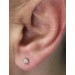 Solitär Ohrstecker 0.26ct F VSI Gelbgold 585 14K Lab Grown Diamanten 