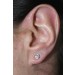 Brillant Ohrstecker 0.50ct  Weißgold 585 14K Lab Grown Diamanten