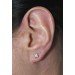 Solitär Ohrstecker 0.50ct Weißgold 585 14K Lab Grown Diamanten
