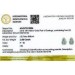 Diamant Ohrringe 2ct Gold 585 14K Lab Grown Diamanten IGI Zertifikat 