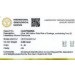 Diamant Ohrringe 0.5ct Gold 585 14K Lab Grown Diamanten IGI Zertifikat
