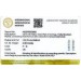 Diamant Creolen 2ct Gold 585 Lab Grown Diamanten IGI Zertifikat