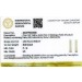 Diamant Creolen 0.50ct Gold 585 Lab Grown Diamanten IGI Zertifikat