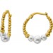 Perlen Creolen Gold 333 8K Süßwasser Perlen 5.2-4mm 