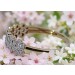 Diamantring Gold 375 9 Karat Diamanten 0.20ct