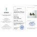 Brillant Ohrstecker Gold 585 Weißgold 14K Diamanten 2.50ct 