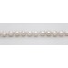Perlenkette 40cm Akoyaperlen 6.9-6.5mm Silber 925