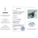 Brillant Armband Weißgold 750 18K Brillanten 1.4ct Lupenrein Antik