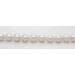 Perlenkette 56cm Silber 925 japanische Akoyaperlen 7.6mm