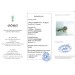 Brillantring Gold 585 Weißgold 14K Brillanten 0.70ct