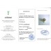 Diamantring Gold 585 14 Karat Brillanten 4.0ct Cocktail