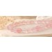 Rosenquarz Kette Silber 925 pastellrosa Madagaskar Rosenquarz Top AAA 