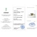 Designerring 585 14k Gelbgold Weißgold Diamanten 0.32ct. Traumunikat