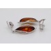 Bernstein Ohrstecker Sterling Silber 925 2 cognac braune Edelsteine