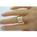 Designer Ring aus vergoldetem Edelstahl mattierte Oberfläche Design by Vivien Lee